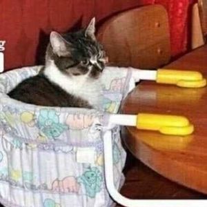 Meet your Posher, Stephen